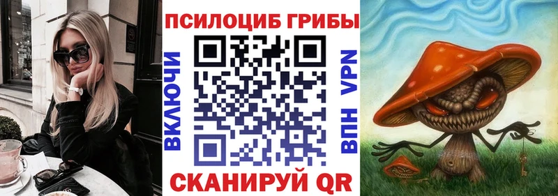 Галлюциногенные грибы Psilocybe Морозовск
