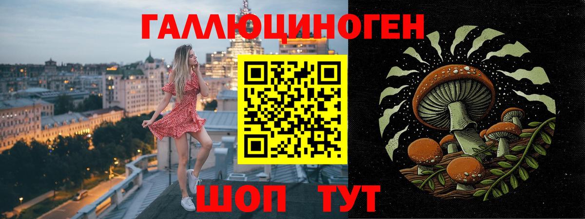 Галлюциногенные грибы Cubensis  Галлюциногенные грибы Psilocybine cubensis  Морозовск  Вход с VPN 